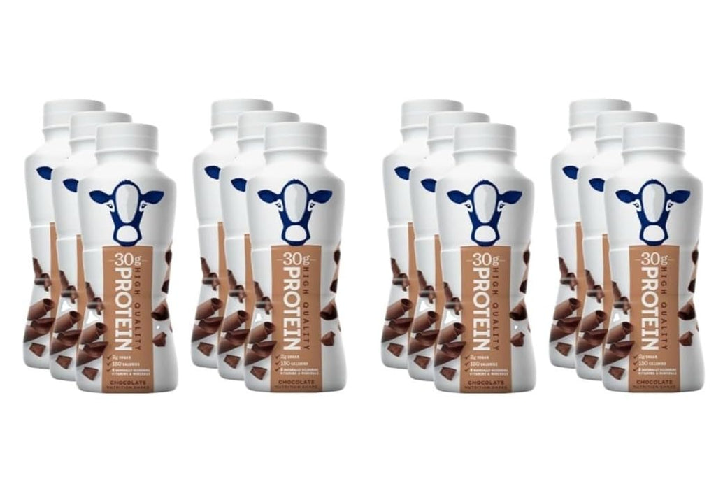 Chocolate Protein Shakes 12 Pack 30g Protein Low Sugar Lactose-Free 11.5 fl oz I208