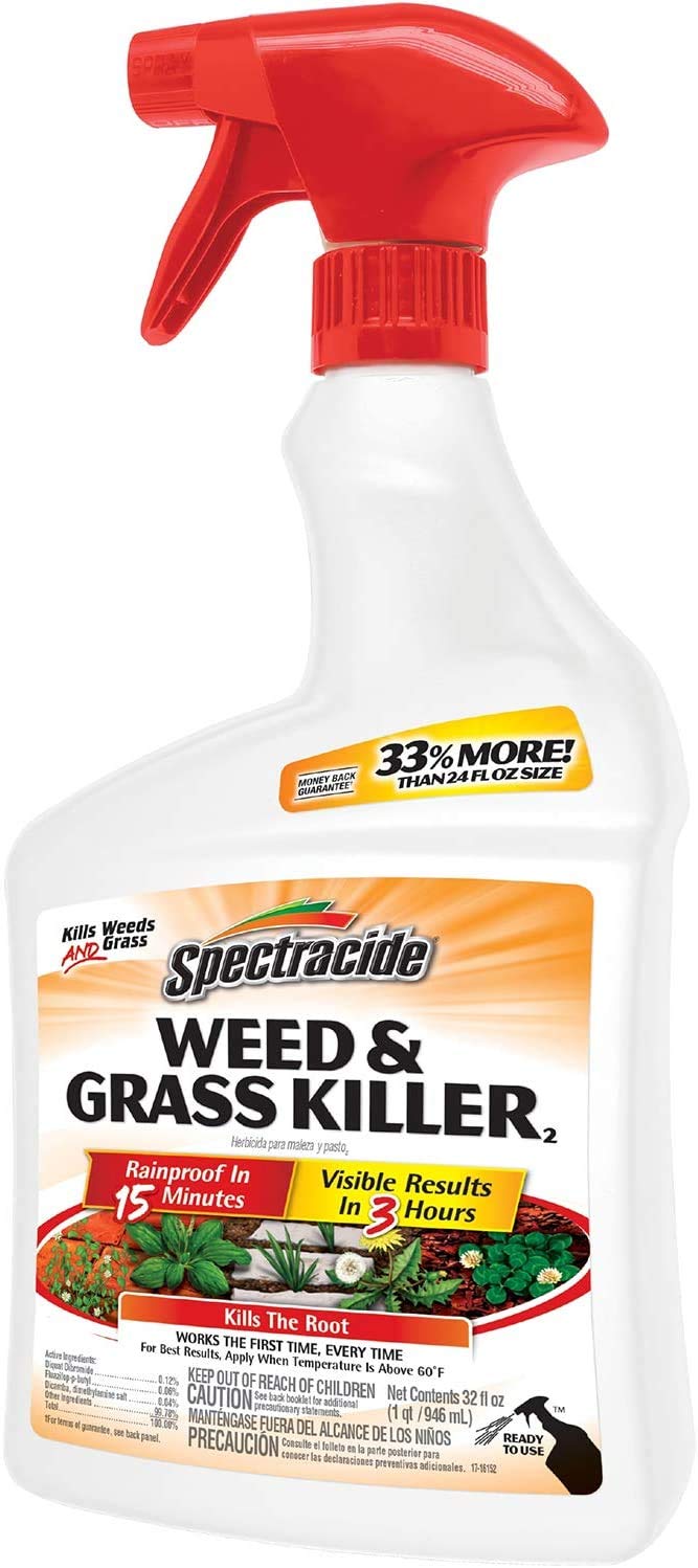Weed & Grass Killer 32 fl oz Pack of 2 P17484
