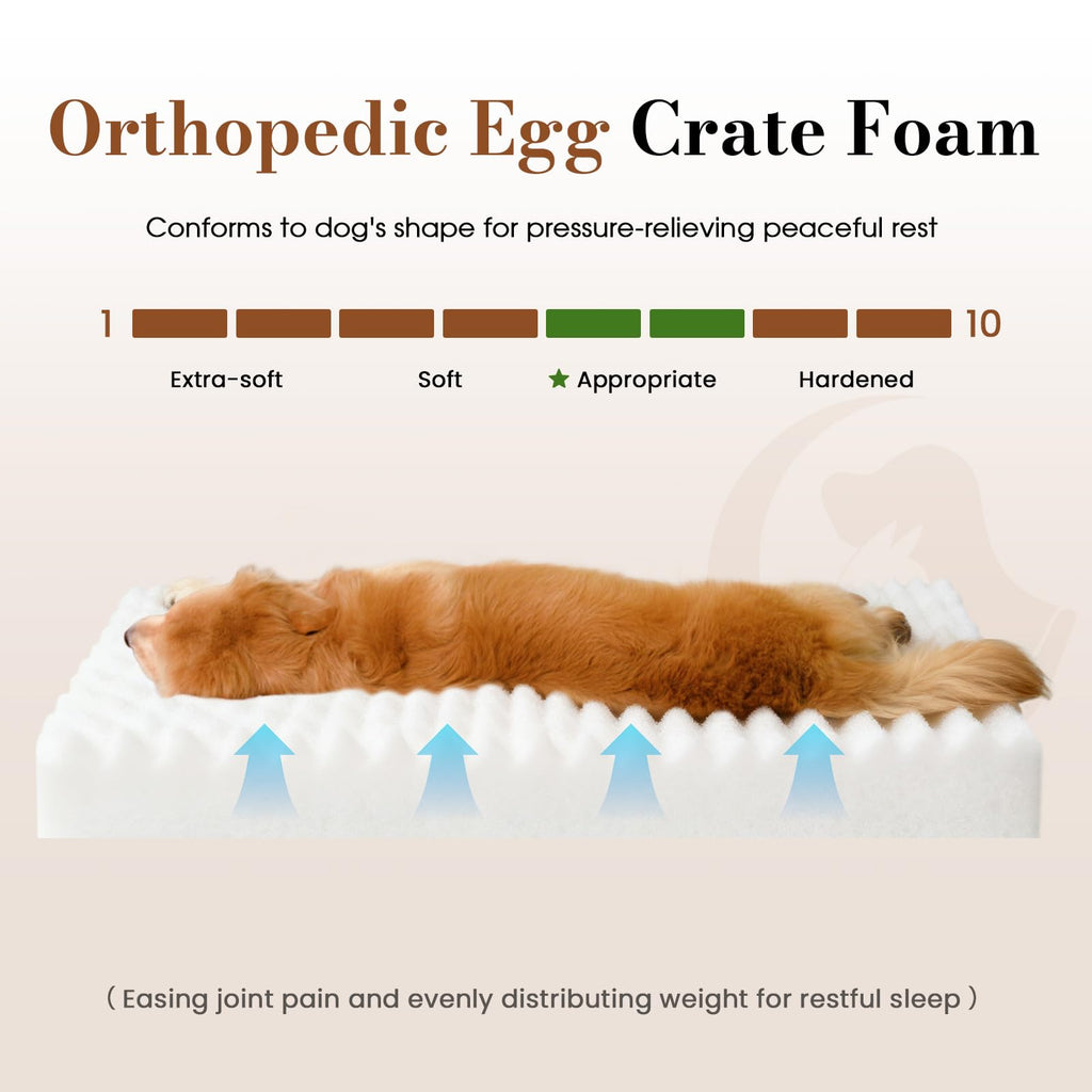 Orthopedic Foam Dog Bed with Waterproof Lining Z579987