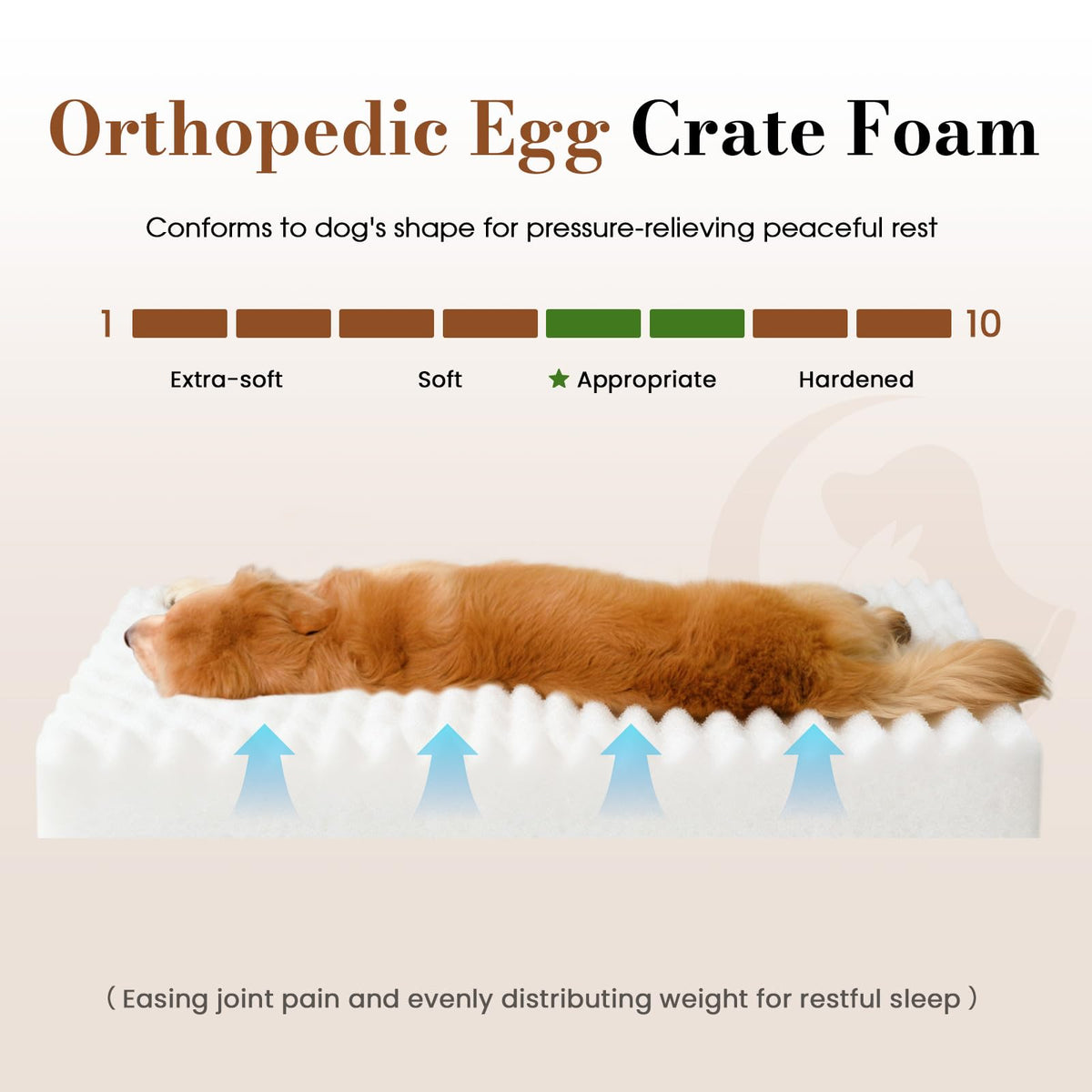 Orthopedic Foam Dog Bed with Waterproof Lining Z579987