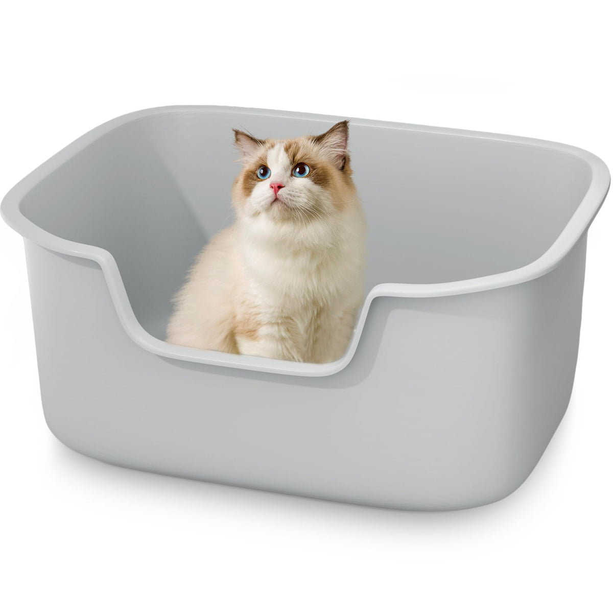 Large High Sides Cat Litter Box B376230