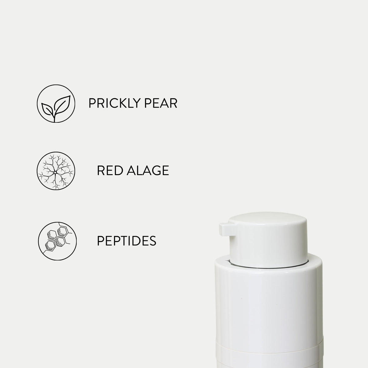 Anti-Aging Face Cream with Peptides A373338