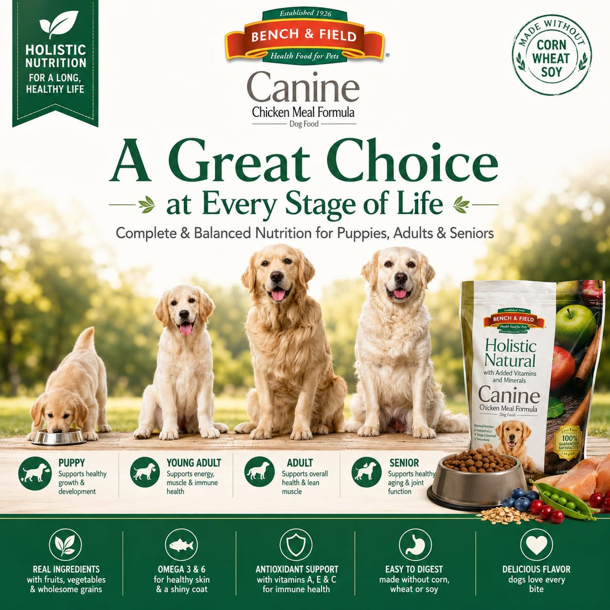Chicken Meal & Brown Rice Dry Dog Food 6.6 lb J739