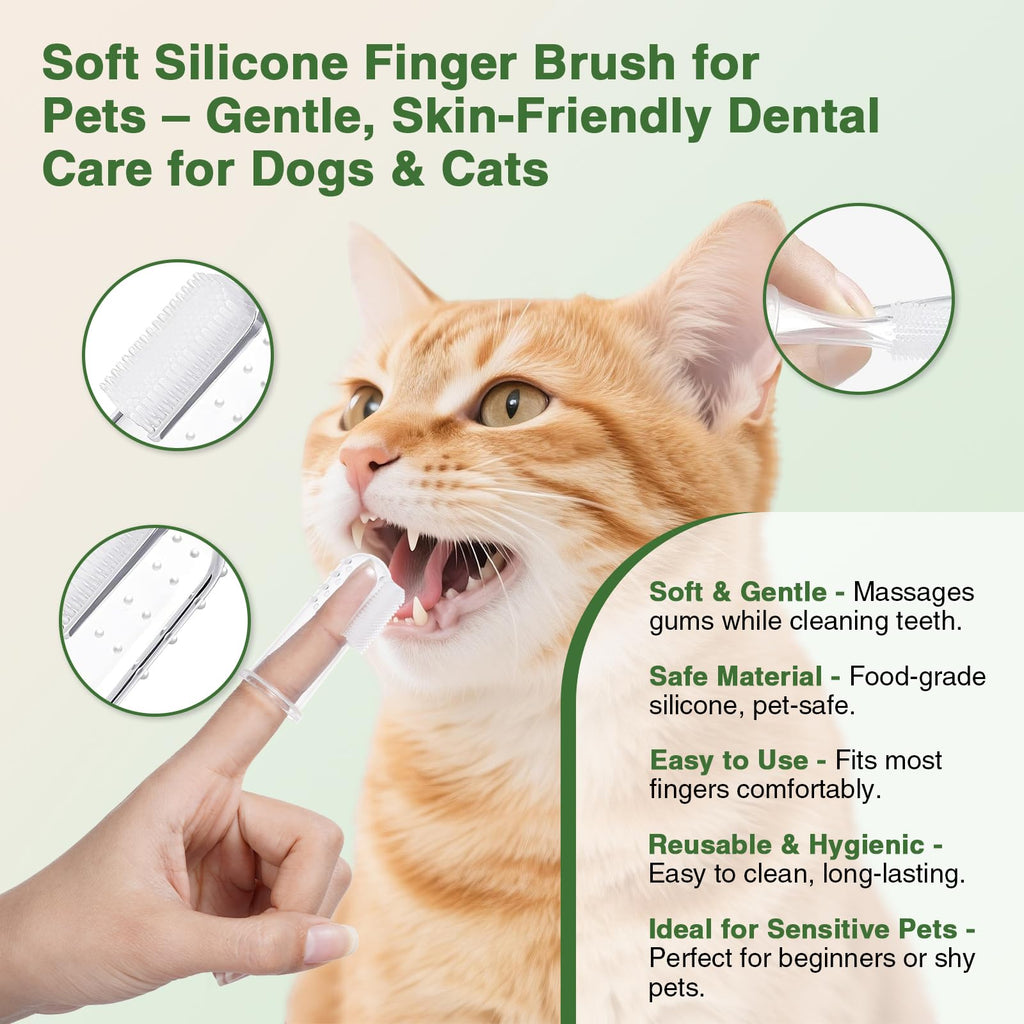 Watermelon Flavor Cat Toothpaste Kit with Finger Brush & Long-Handle Toothbrush J5413