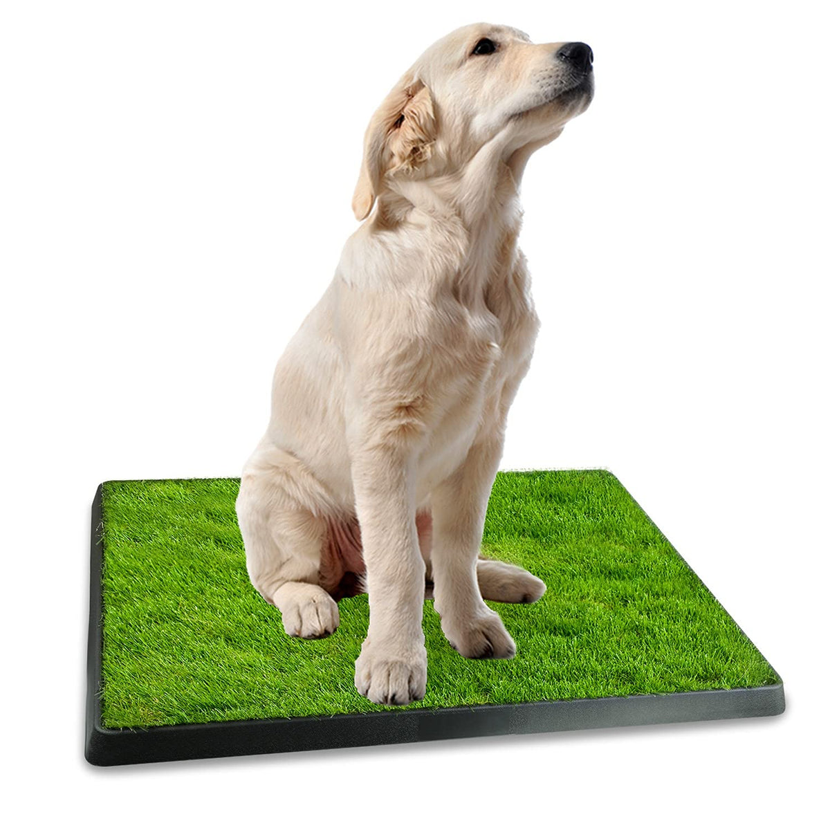 Indoor Dog Potty Grass Pad with Tray F576