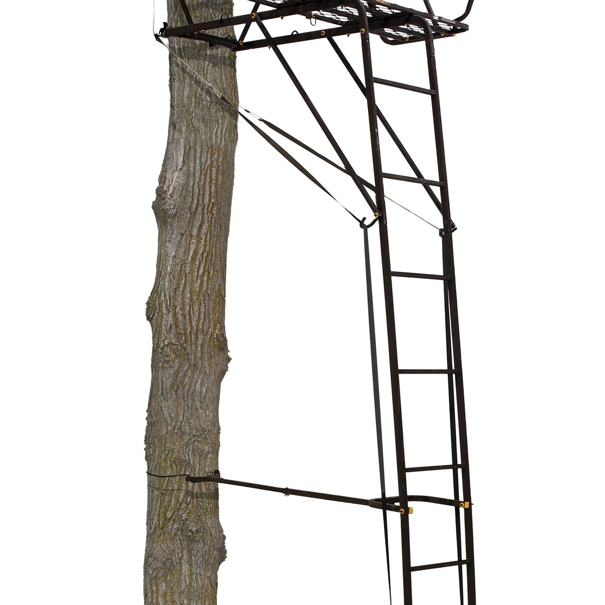 Hunting Deer Ladder Stand 20 ft with Blind Kit Y26254