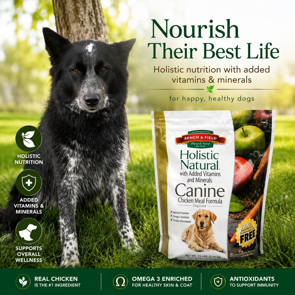 Chicken Meal & Brown Rice Dry Dog Food 6.6 lb J739