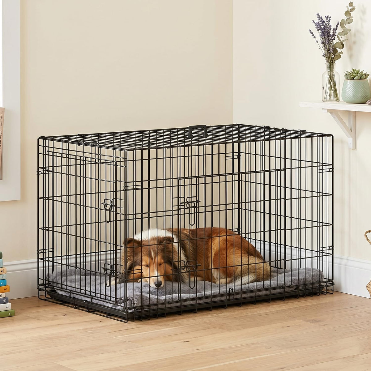 48 Inch Folding Metal Dog Crate Q251501