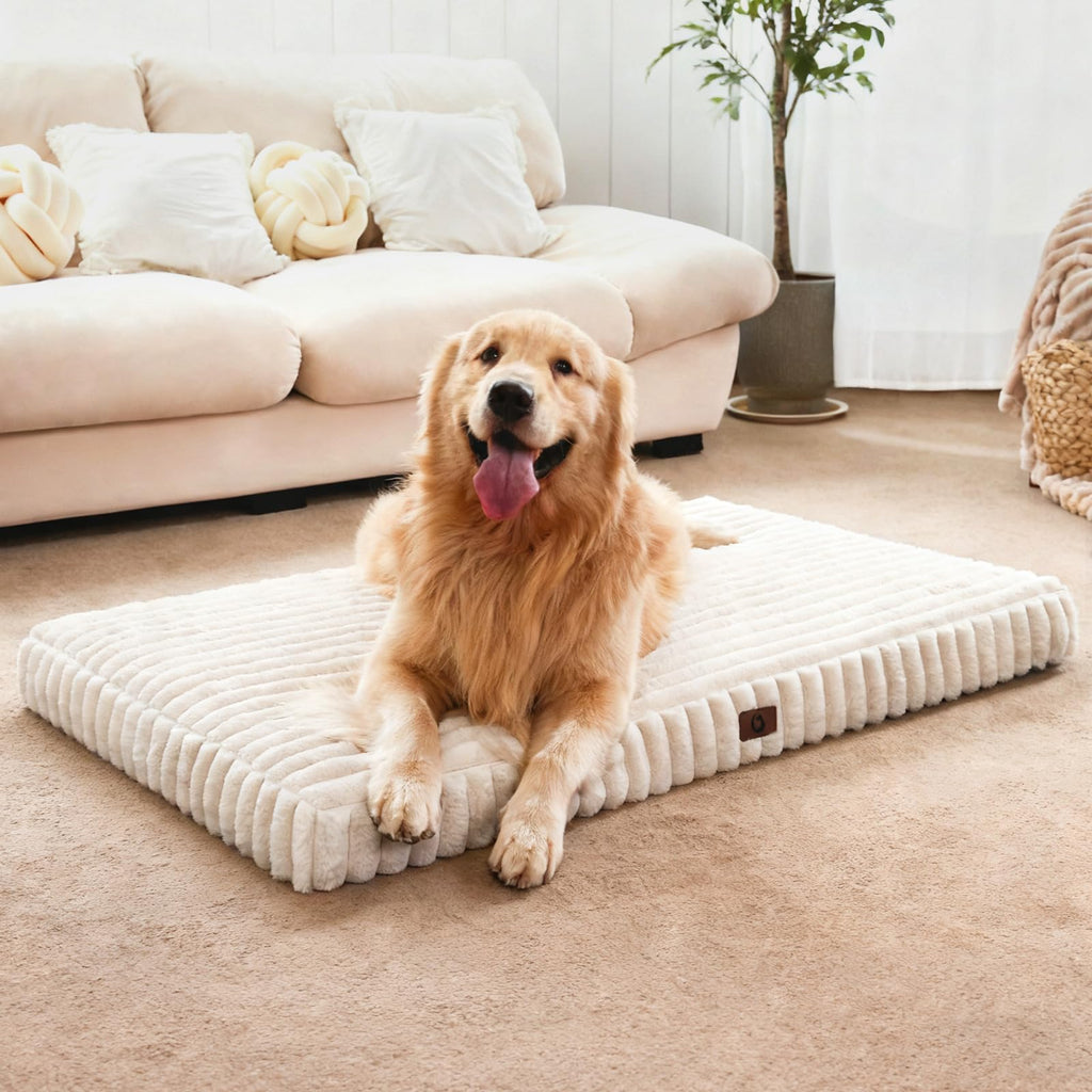 Orthopedic Foam Dog Bed with Waterproof Lining Z579987