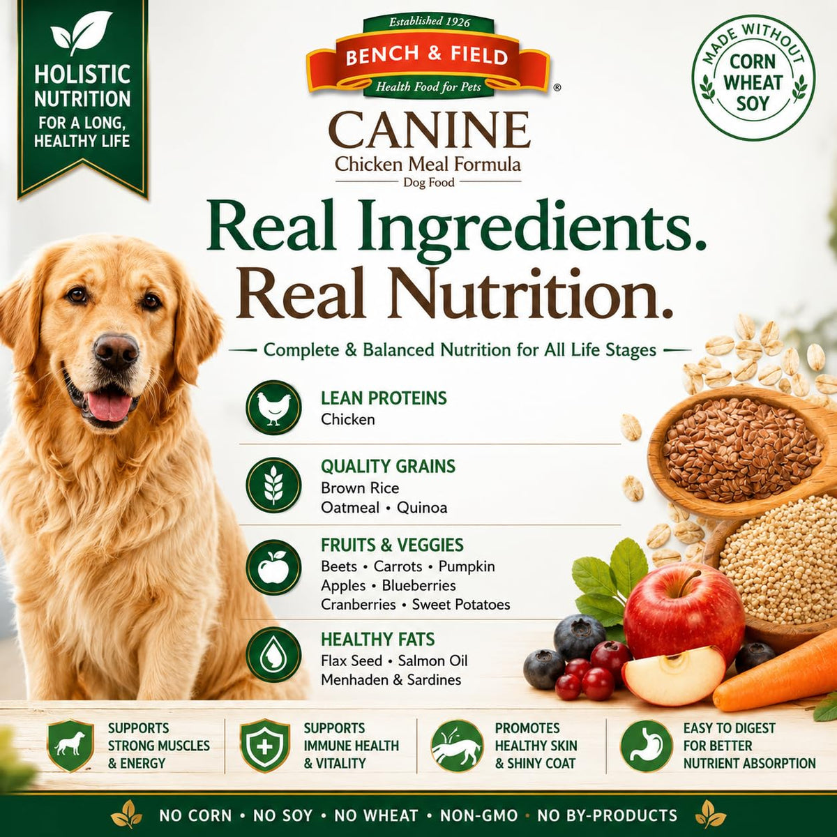 Chicken Meal & Brown Rice Dry Dog Food 6.6 lb J739