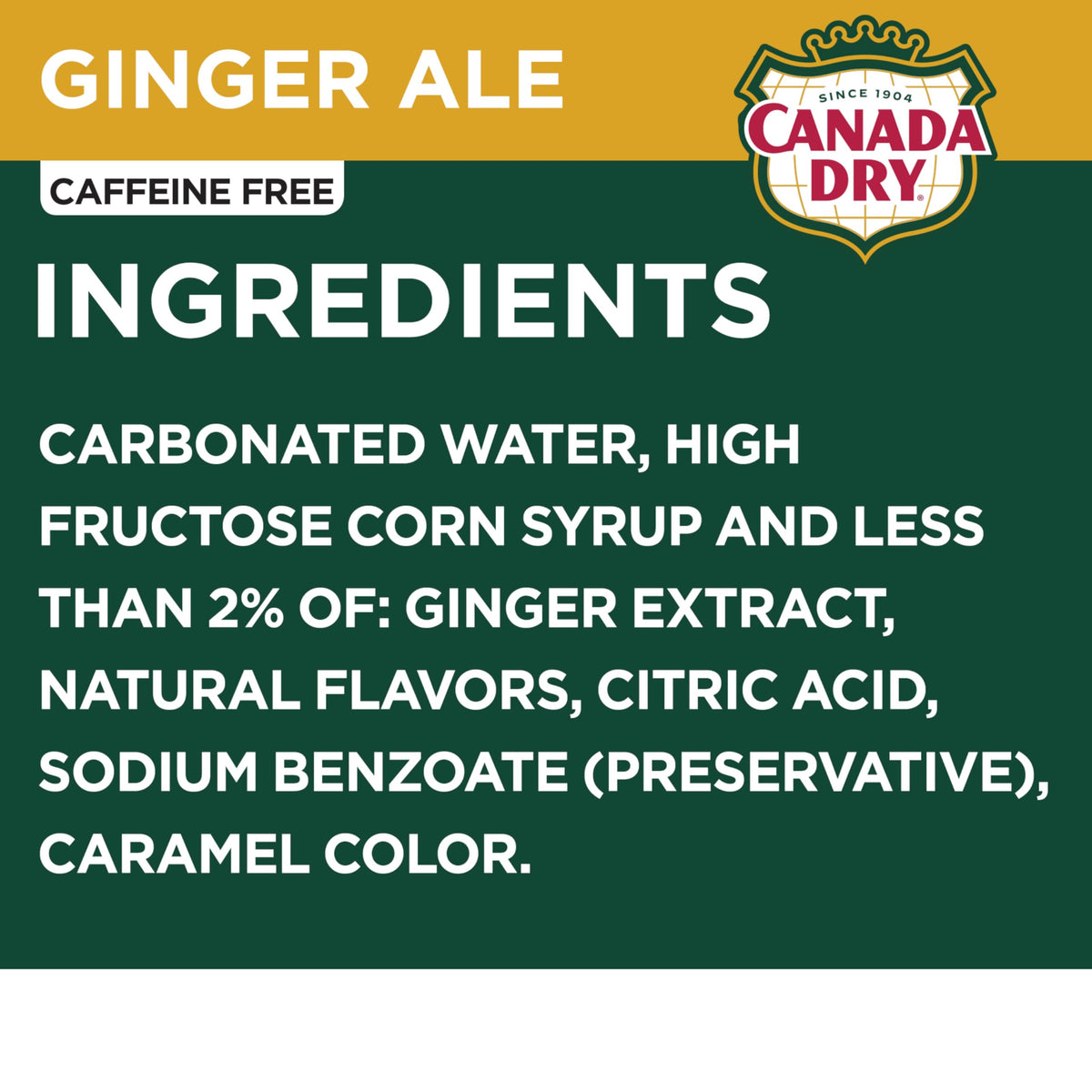 Ginger Ale Soda 12 fl oz 12 pack Y9702