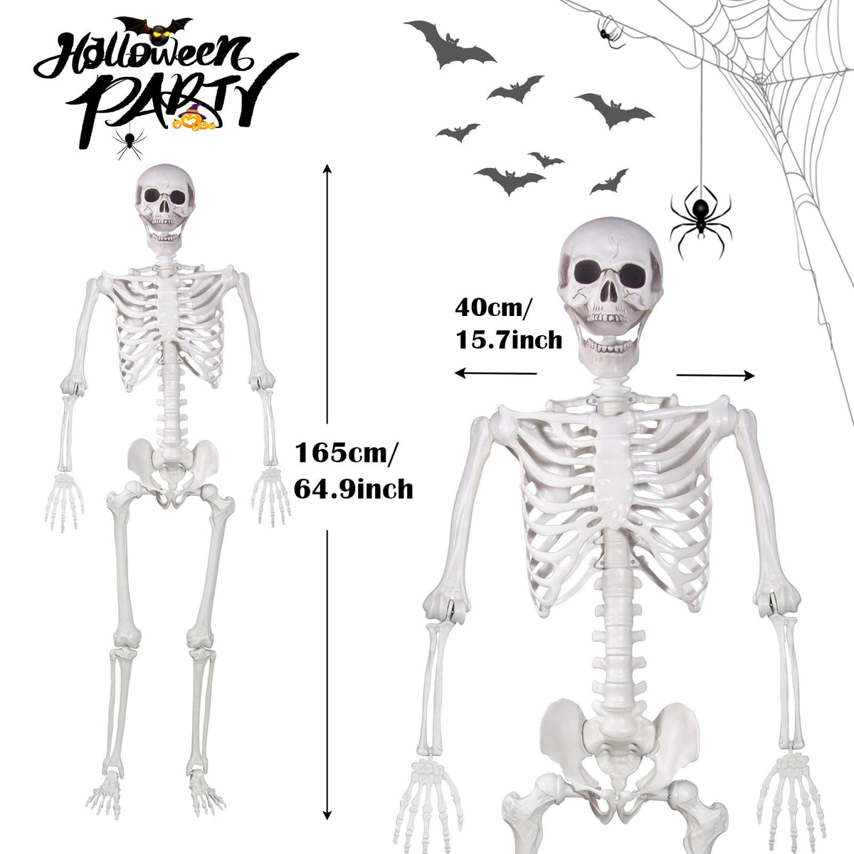 Life Size Skeleton with Movable Joints J844