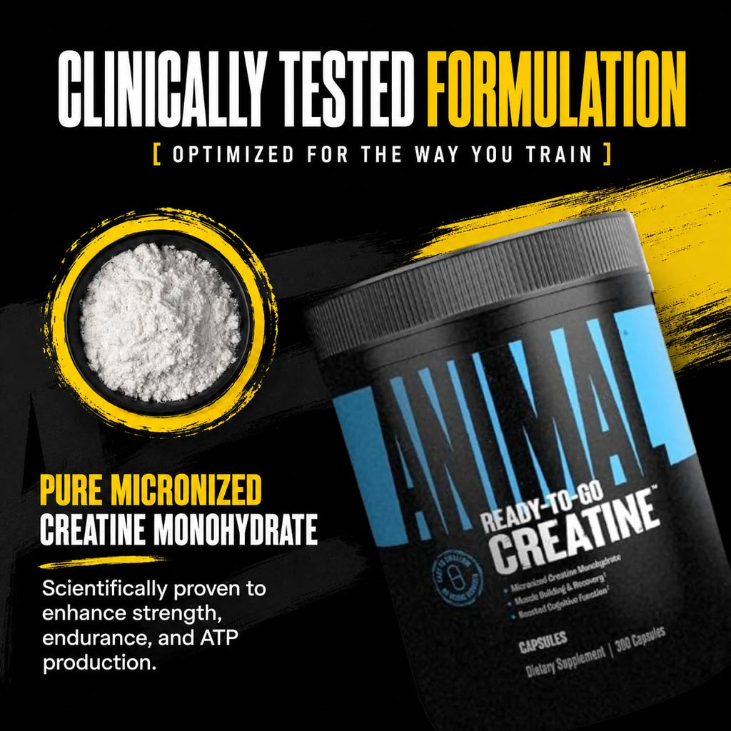Creatine Monohydrate Powder Capsules 300 Count B2106