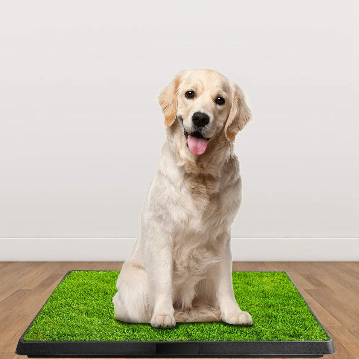 Indoor Dog Potty Grass Pad with Tray F576