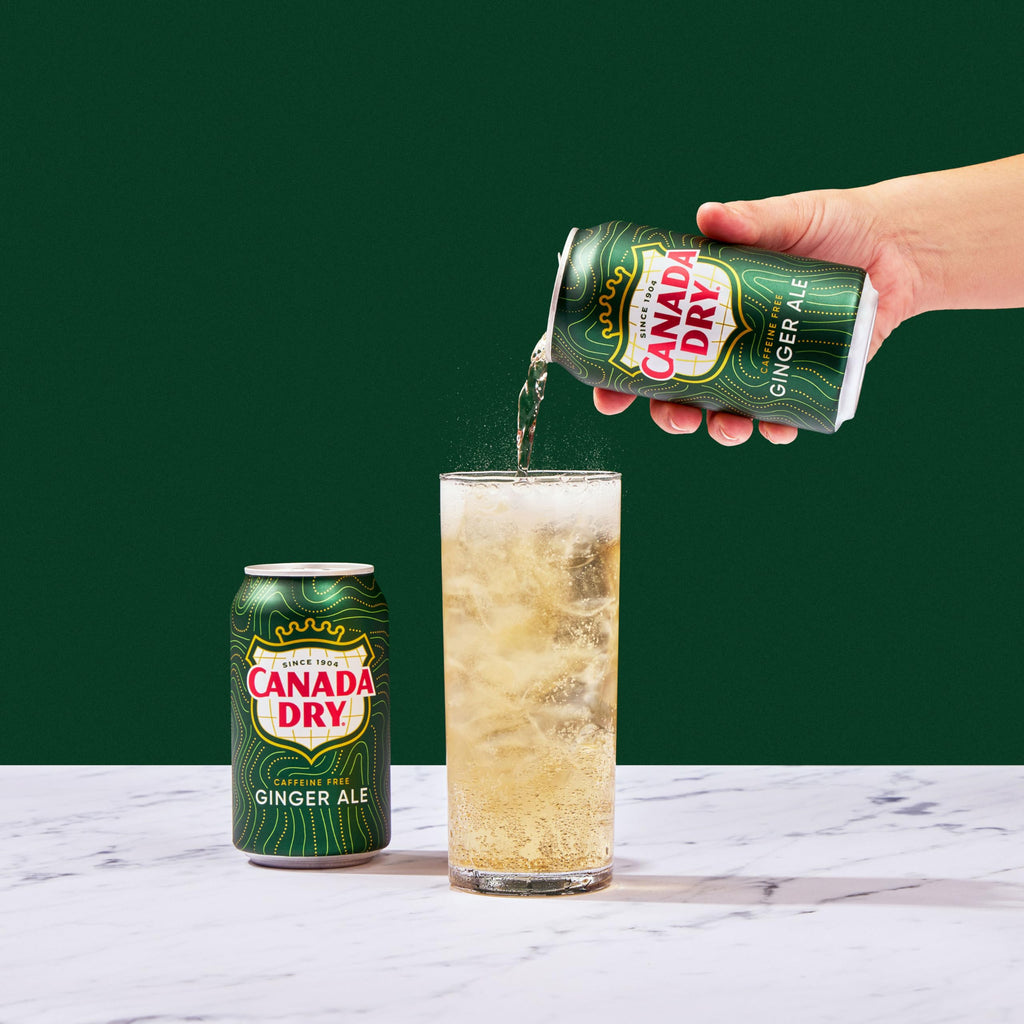 Ginger Ale Soda 12 fl oz 12 pack Y9702