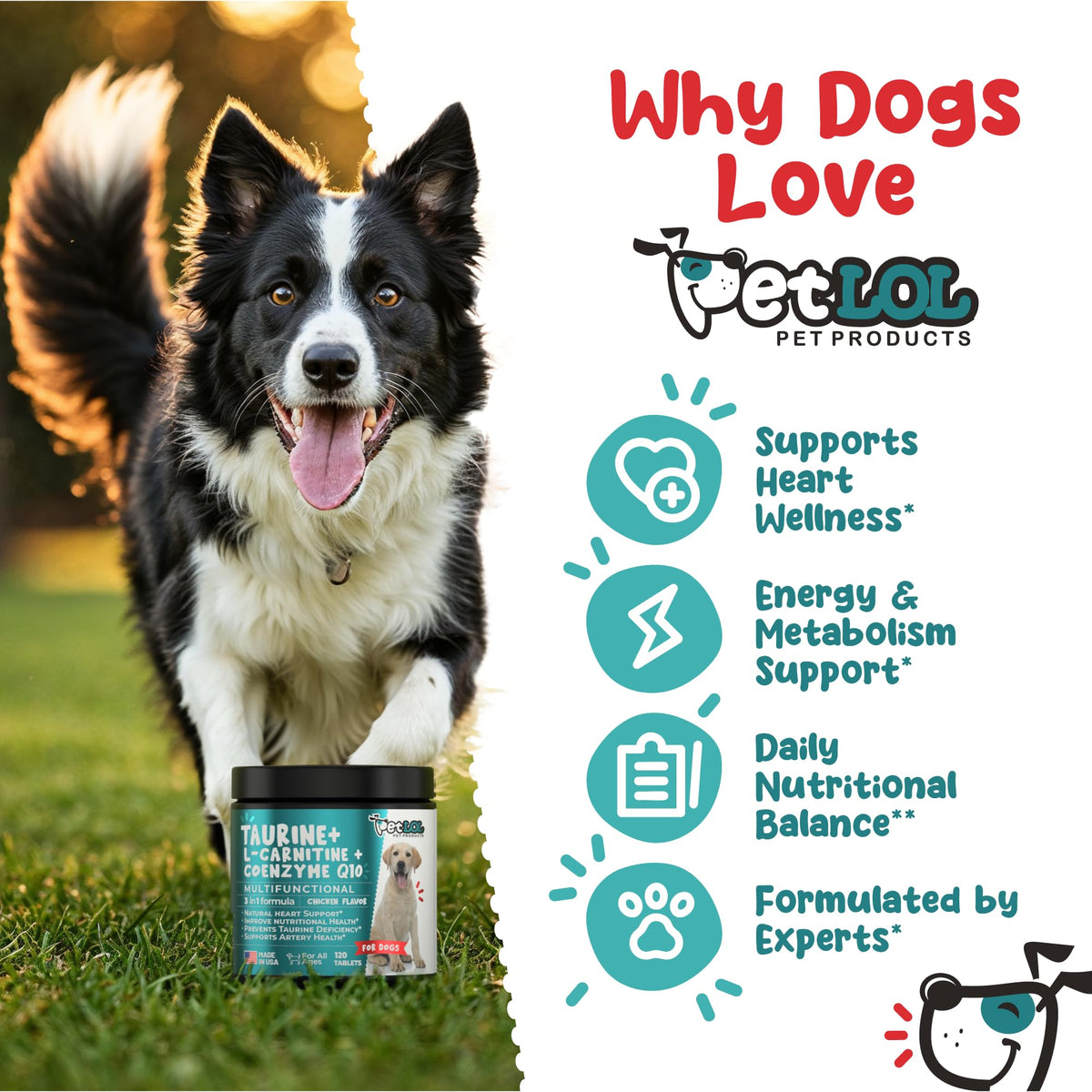 Taurine 500 mg for Dogs S982828
