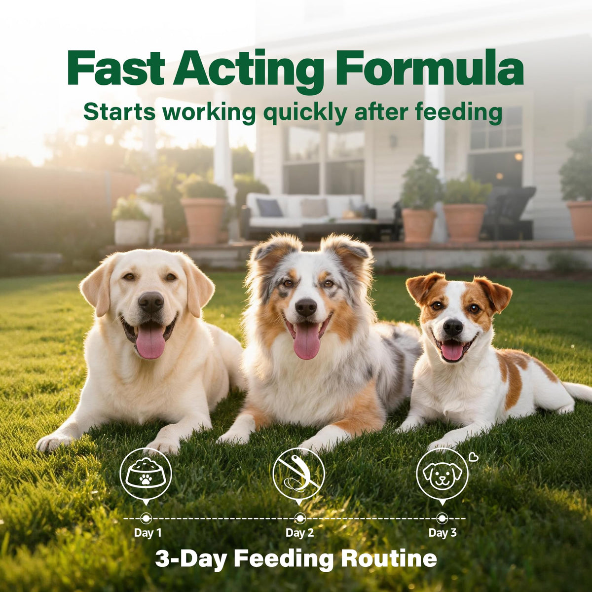 Dewormer for Dogs 50 g D2745