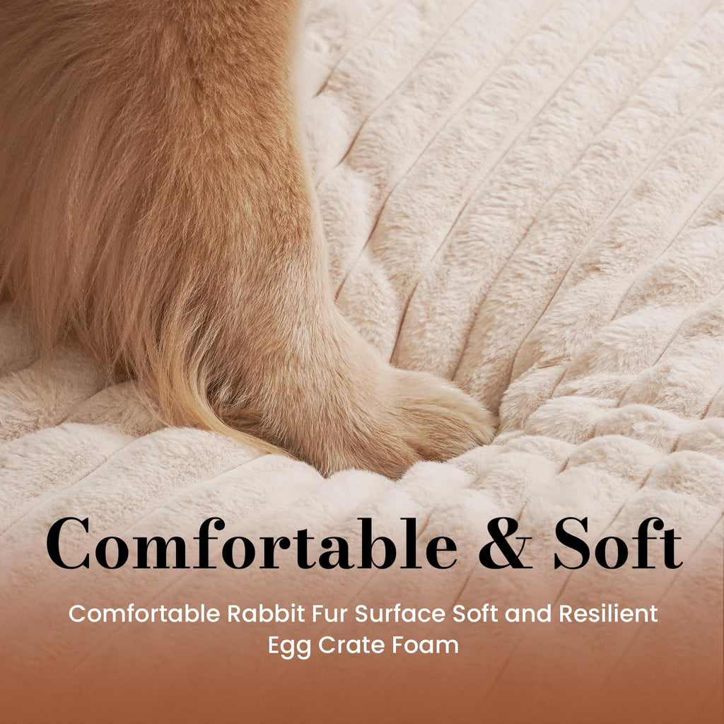 Orthopedic Foam Dog Bed with Waterproof Lining Z579987