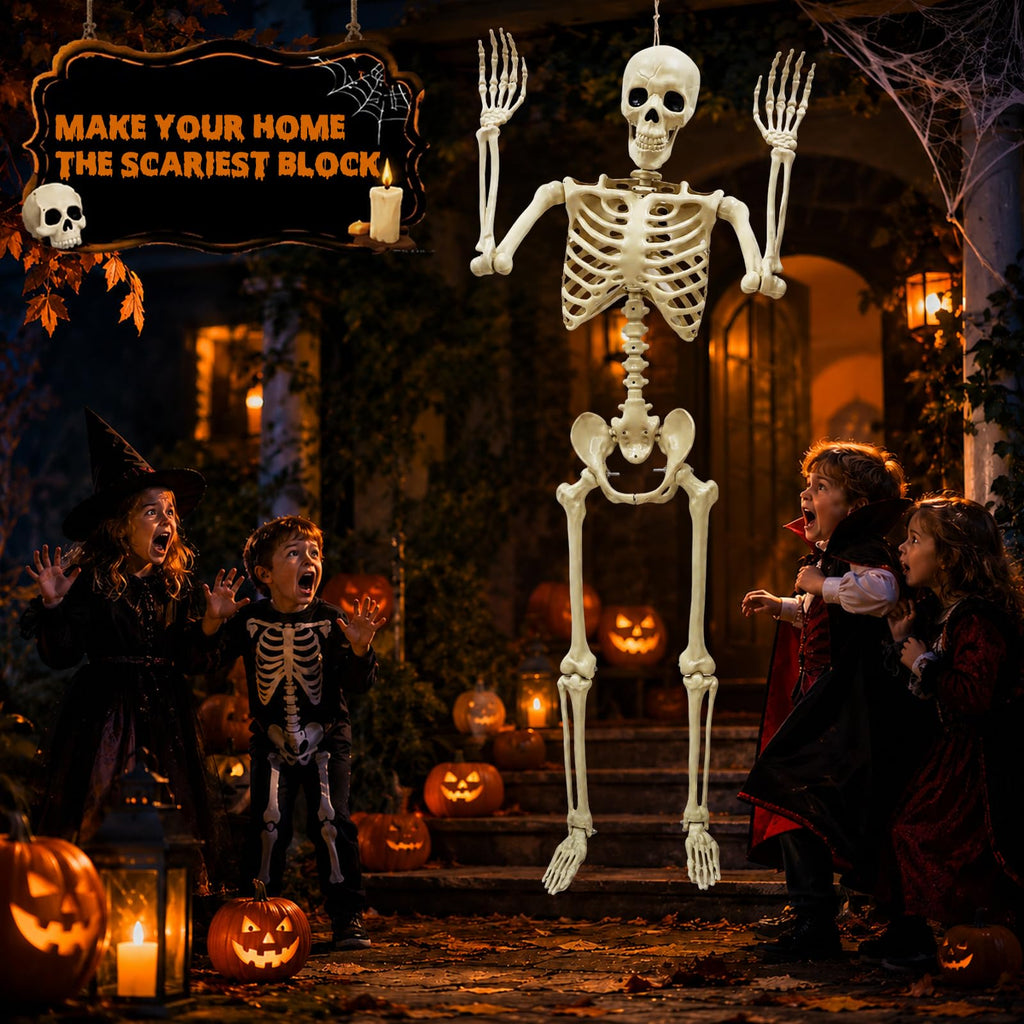 Life Size Skeleton O491