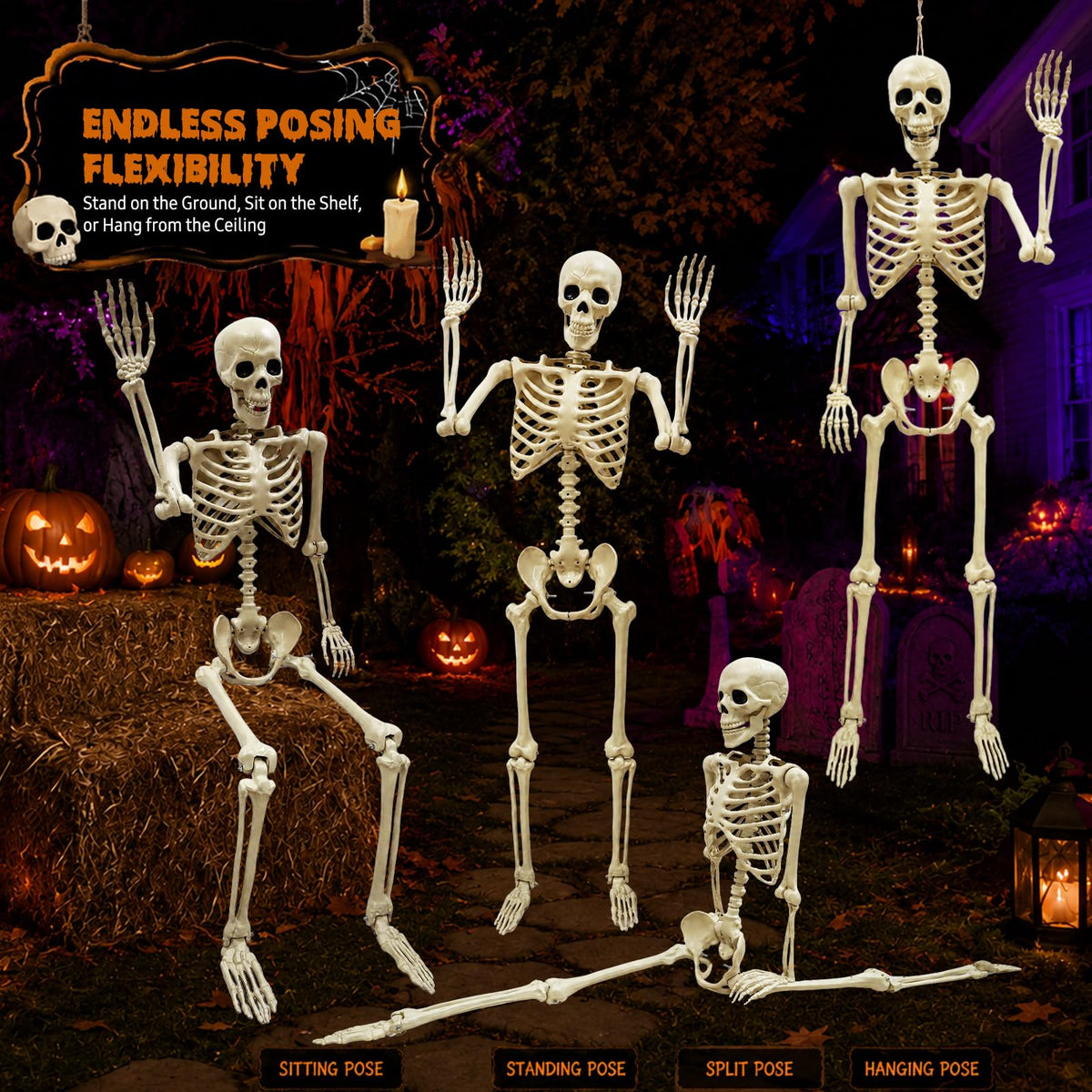 Life Size Skeleton O491