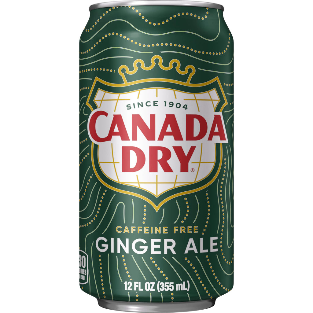 Ginger Ale Soda 12 fl oz 12 pack Y9702