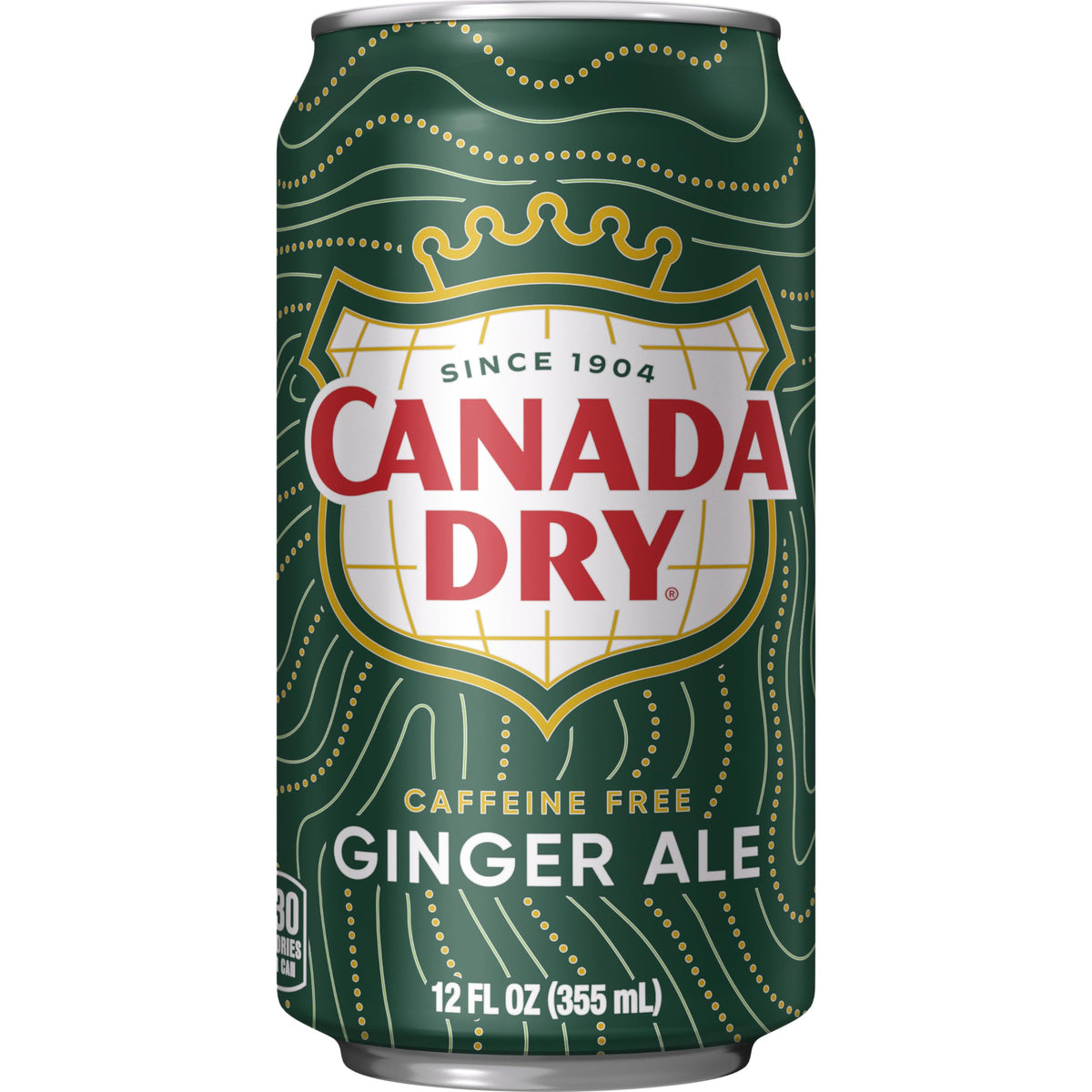 Ginger Ale Soda 12 fl oz 12 pack Y9702