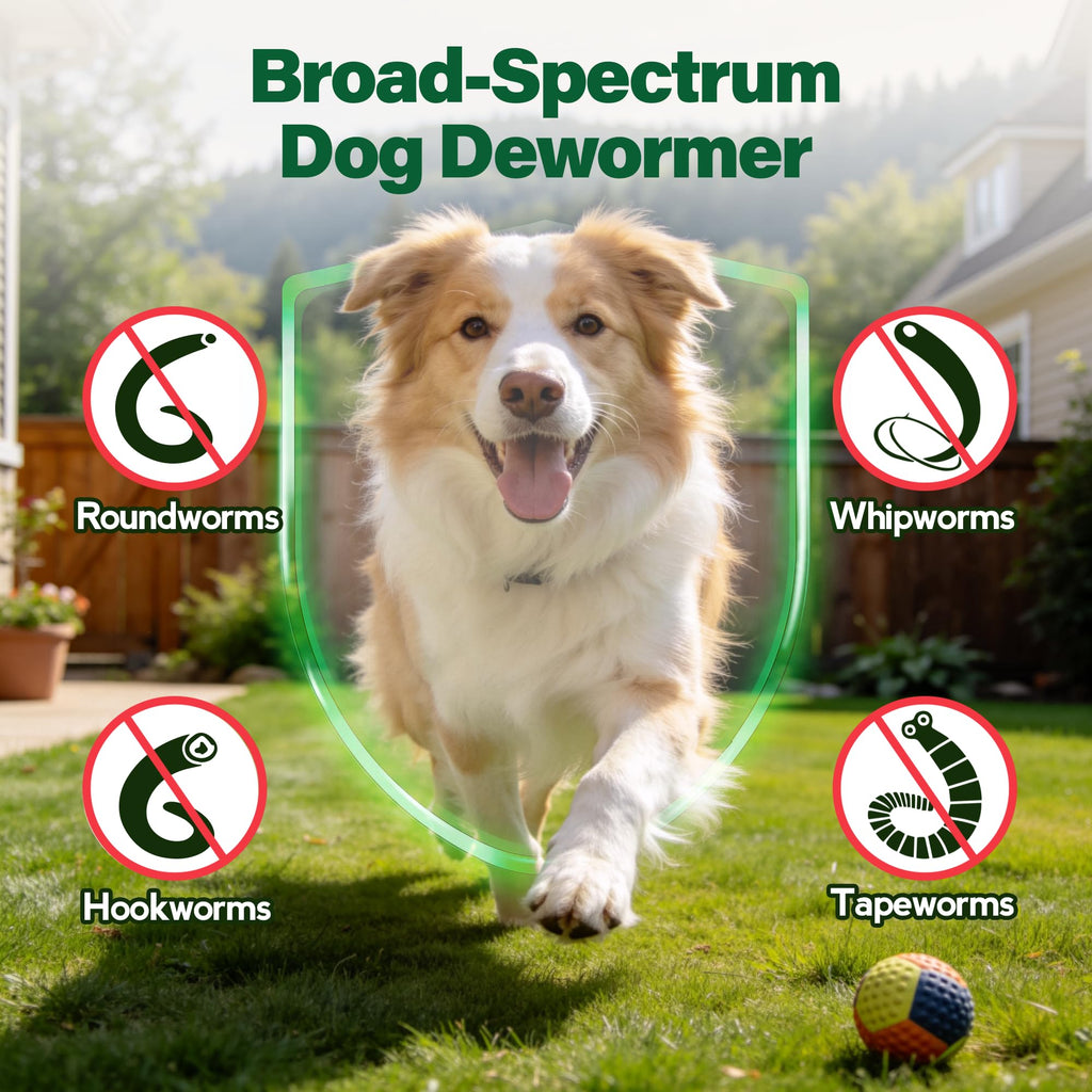 Dewormer for Dogs 50 g D2745