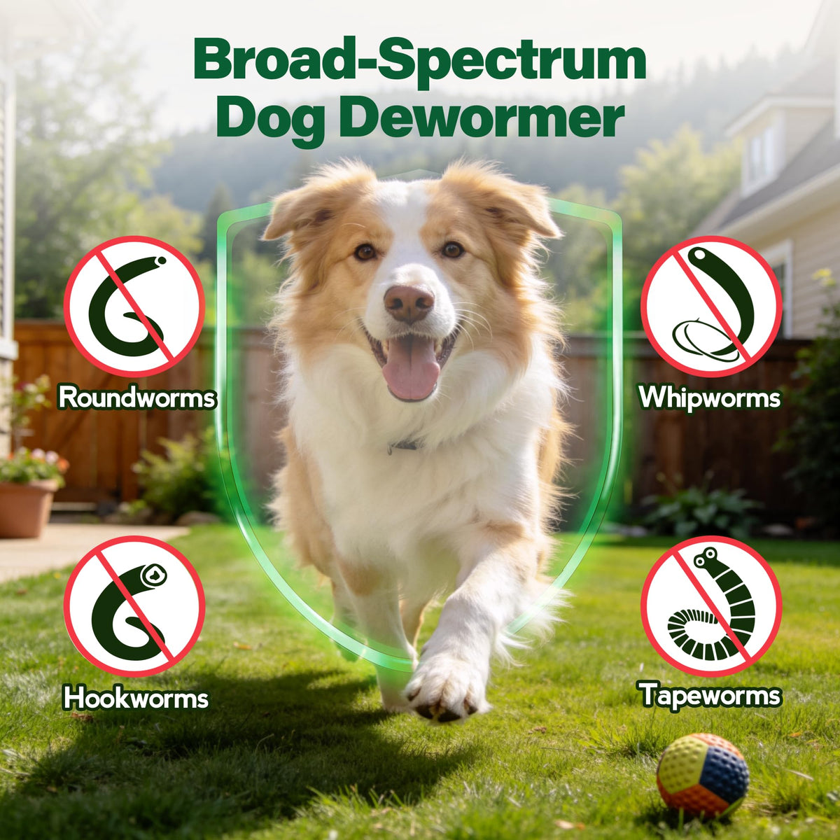Dewormer for Dogs 50 g D2745