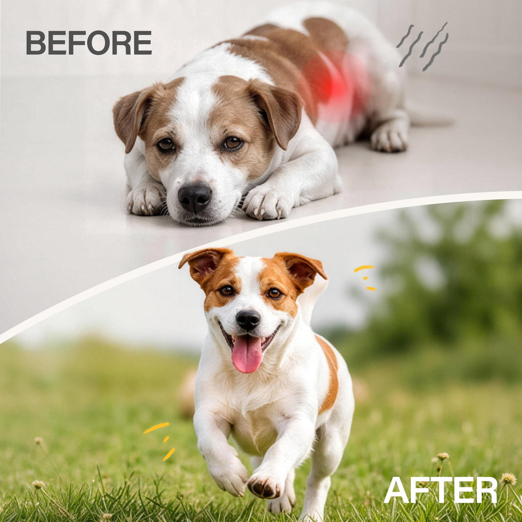 Dewormer for Dogs 50 g D2745
