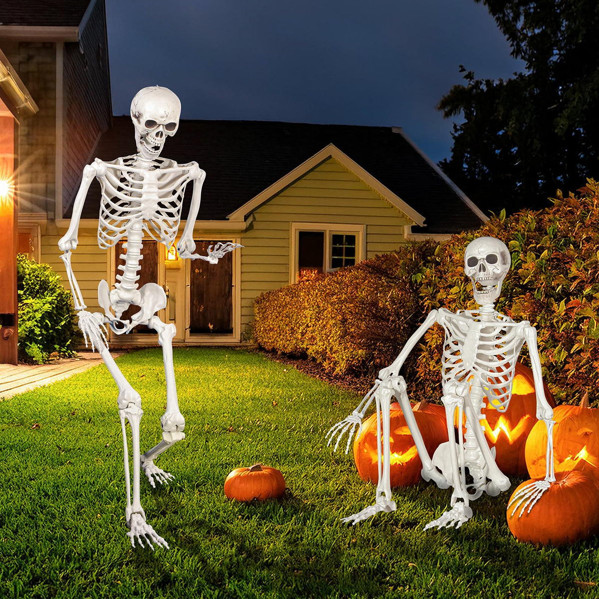 Life Size Skeleton with Movable Joints J844