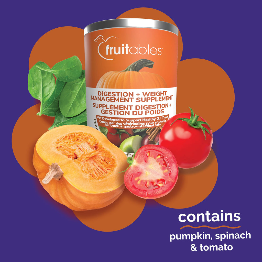 Pumpkin Digestive Supplement for Dogs 15oz D298