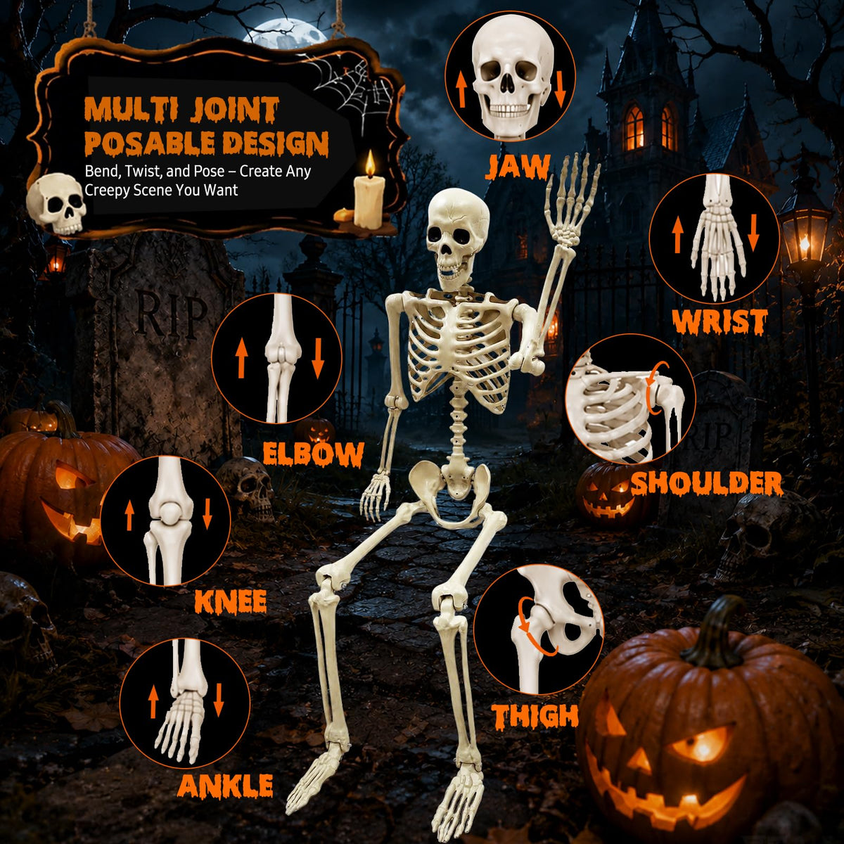 Life Size Skeleton O491