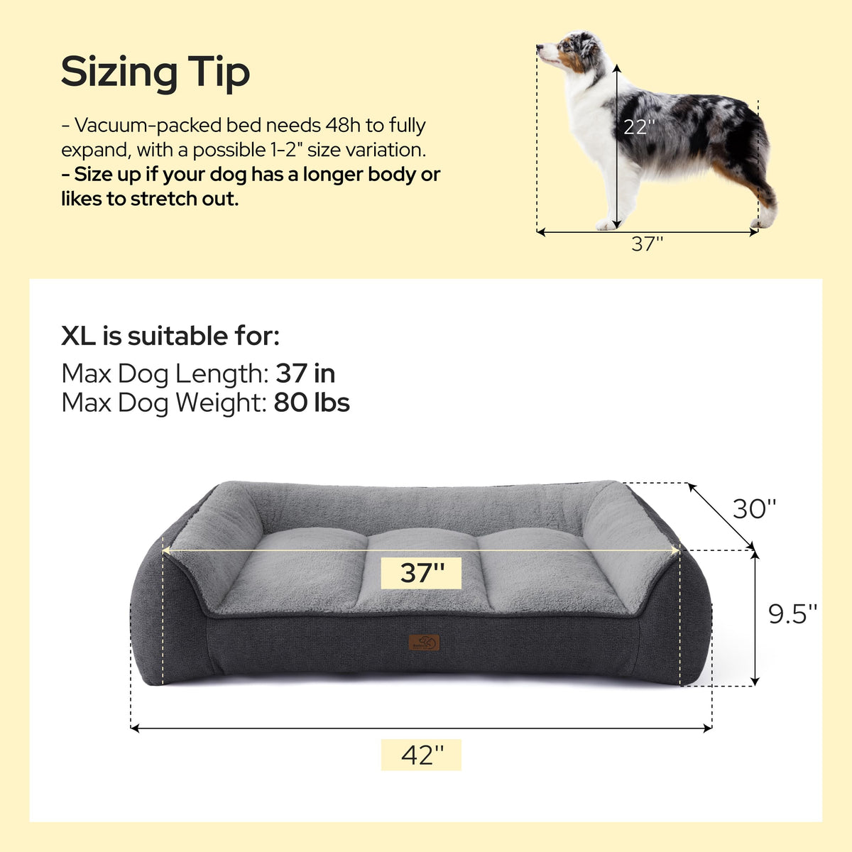 XL Orthopedic Dog Bed C857