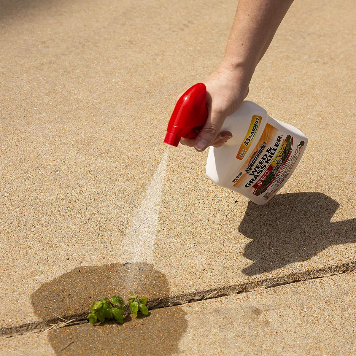 Weed & Grass Killer 32 fl oz Pack of 2 P17484