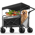 Collapsible Wagon with Canopy Black S111075