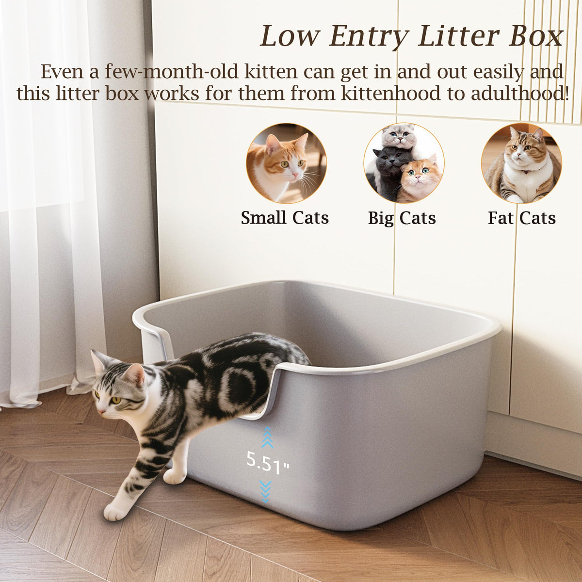 Large High Sides Cat Litter Box B376230