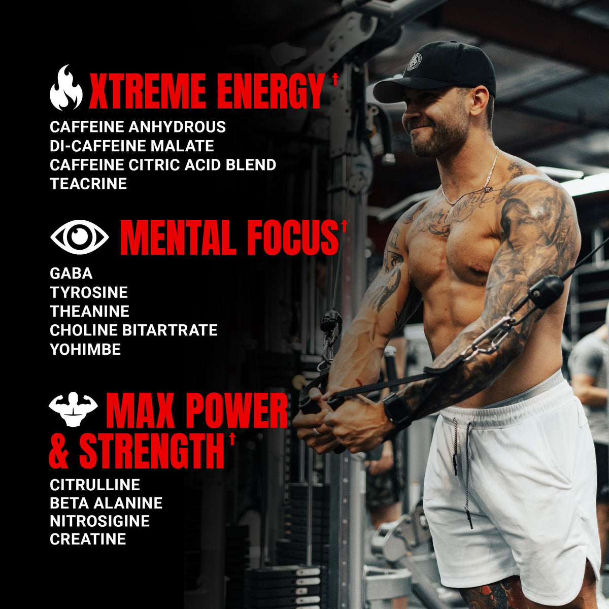 Pre Workout Powder with Creatine L66007