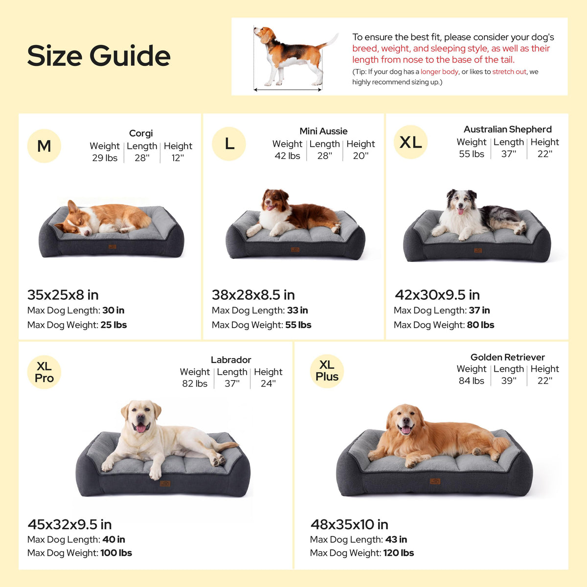 XL Orthopedic Dog Bed C857
