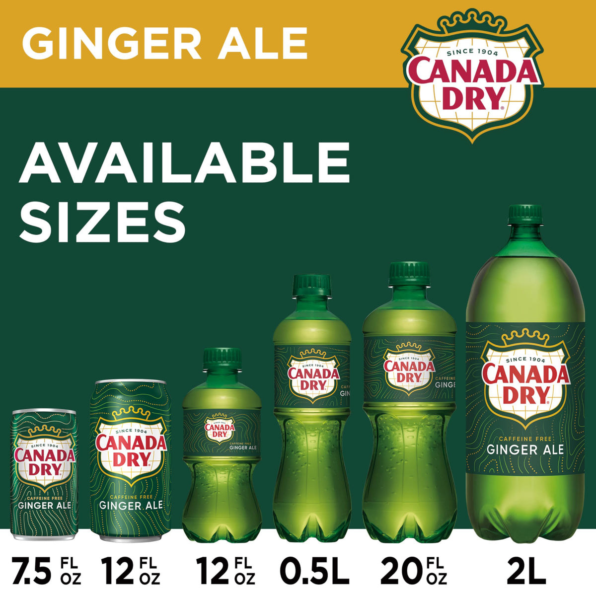 Ginger Ale Soda 12 fl oz 12 pack Y9702