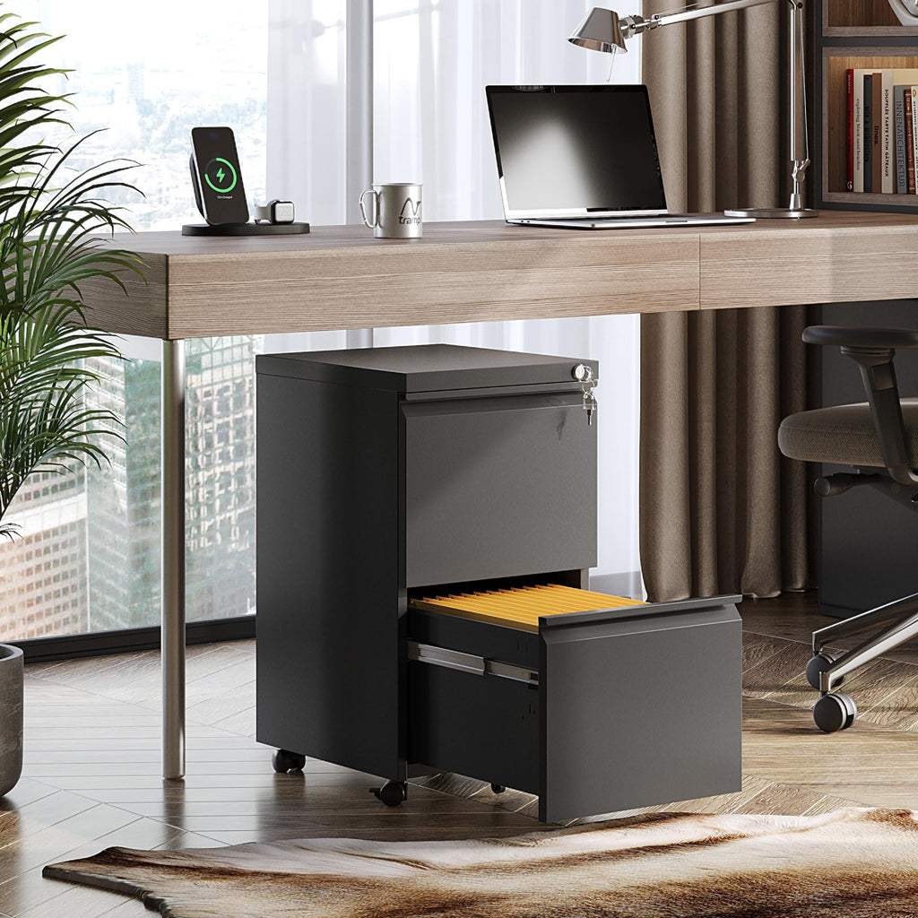 2 Drawer Metal File Cabinet Q1582