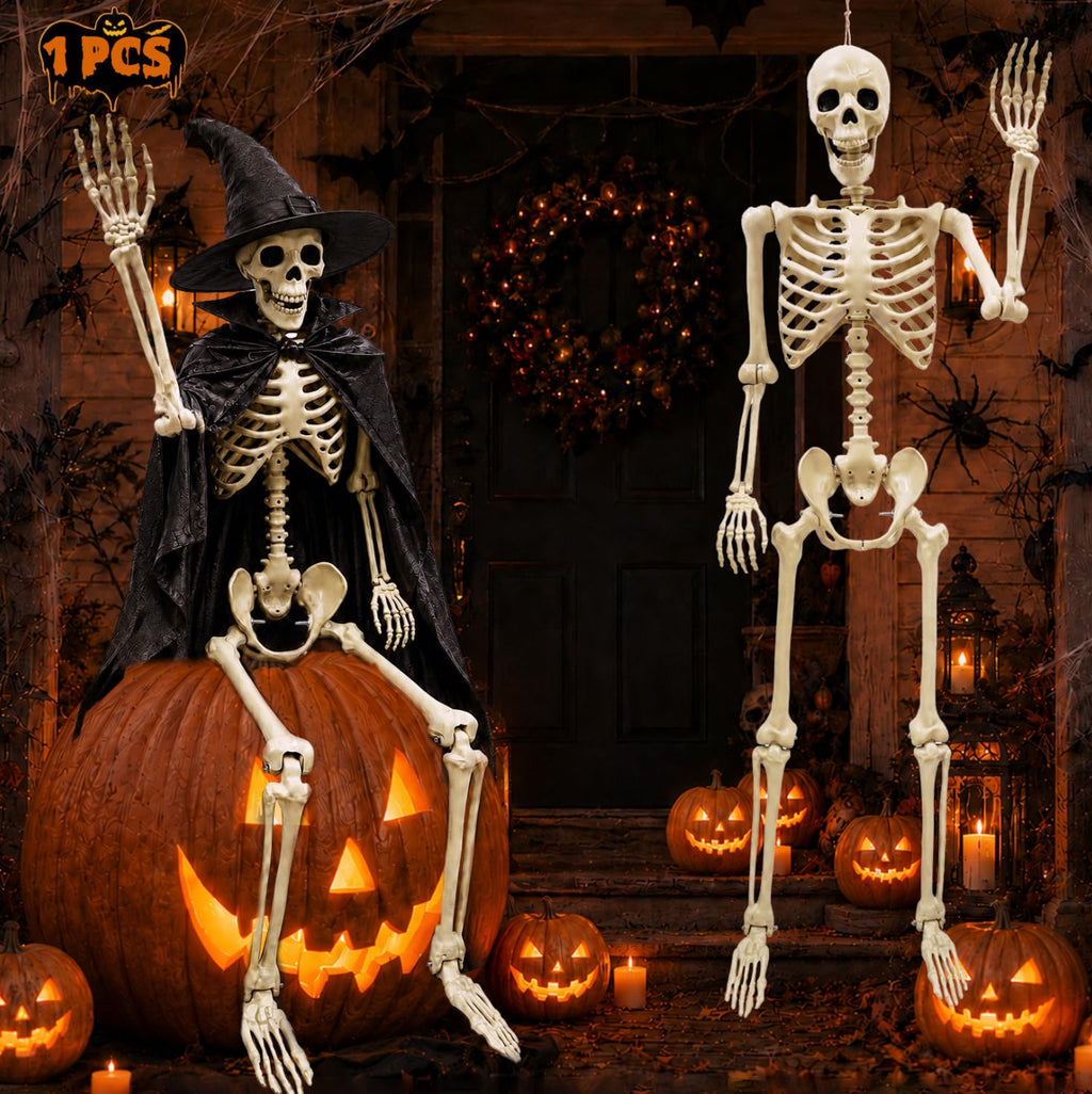 Life Size Skeleton O491