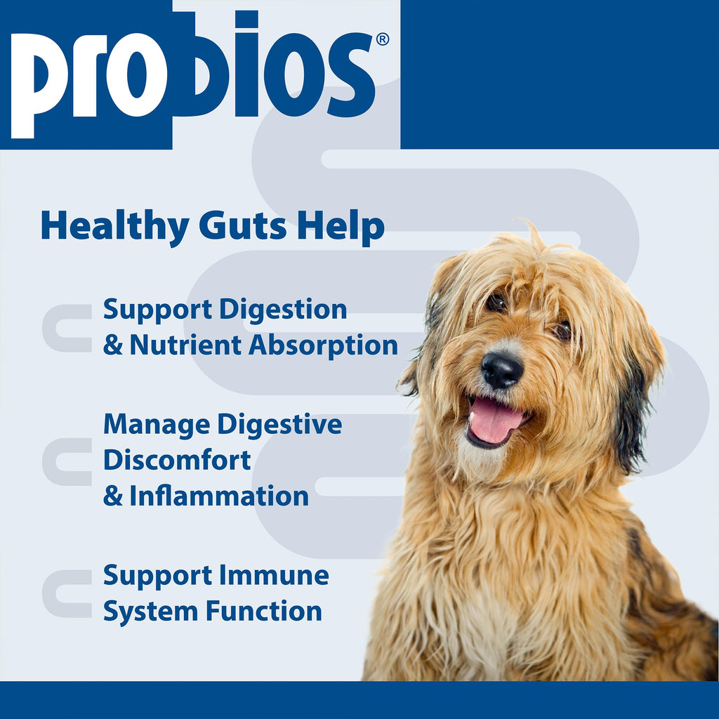 Digestive Dog Tabs 45 chewable tablets G865226