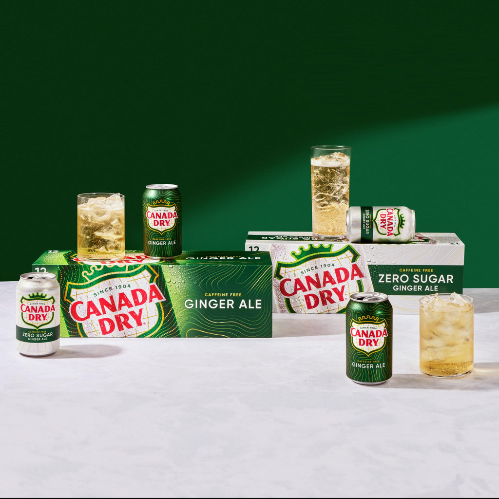 Ginger Ale Soda 12 fl oz 12 pack Y9702