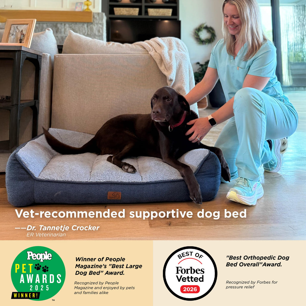 XL Orthopedic Dog Bed C857