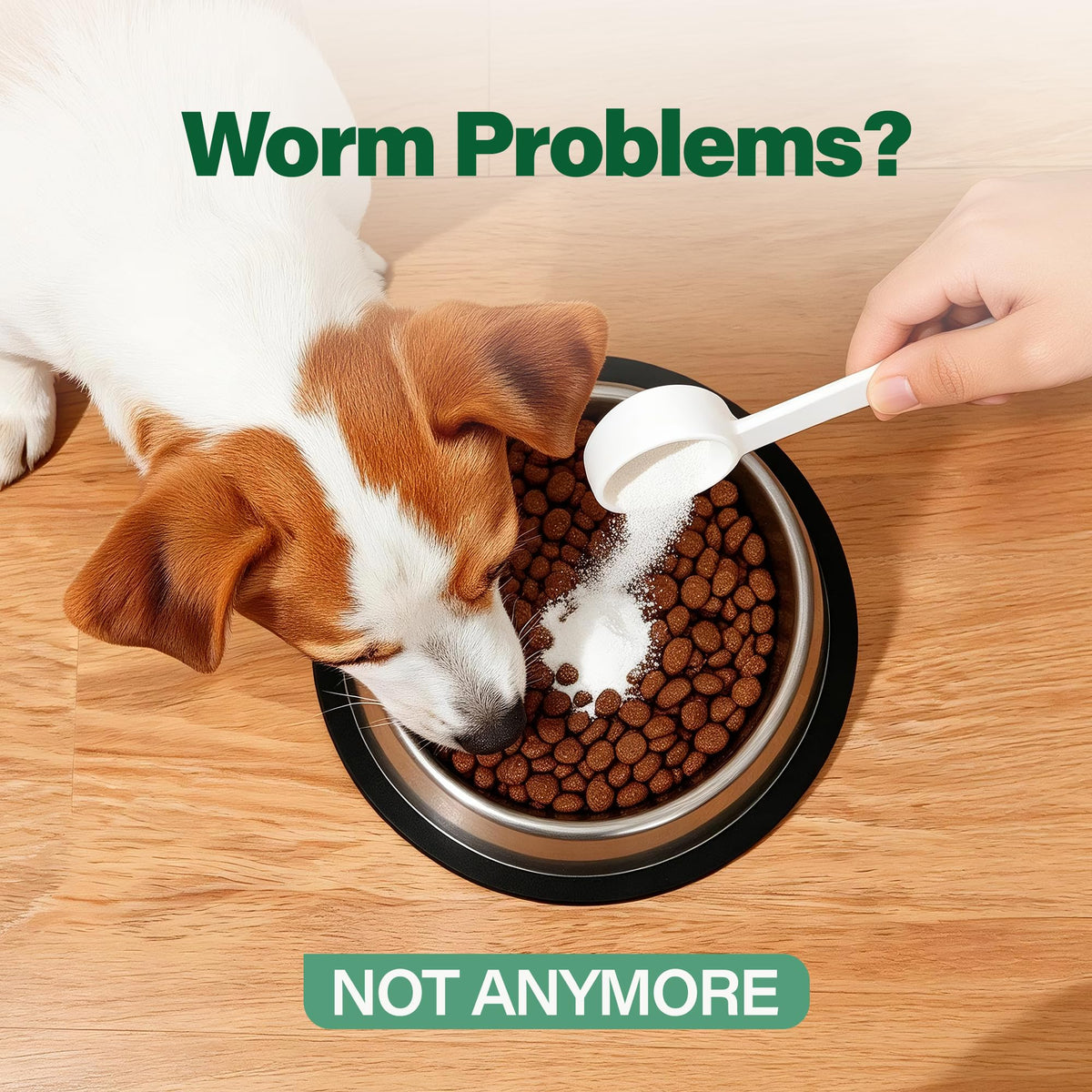 Dewormer for Dogs 50 g D2745