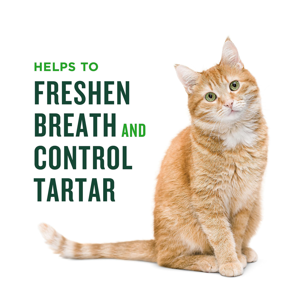 Salmon Flavor Dental Treats for Cats 2.5oz G3432